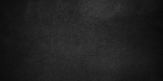 Silver Palms Gallery 29