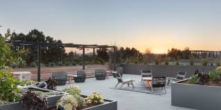 Star Harbor Gallery 15