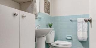 Bears Village Gallery 14