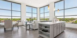 The Anderson Gallery 33