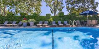 Paloma Vista Apartment Homes Paloma Vista Apartment Homes Gallery 15