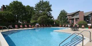 The Pointe Gallery 1