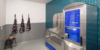 The Emerson Gallery 5