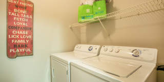 Merritt at Sugarloaf Gallery 34