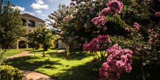 The Reserve At Tranquility Lake Gallery 83