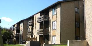 Half off first months rent - Updated condo with pool, carport and storage Gallery 1