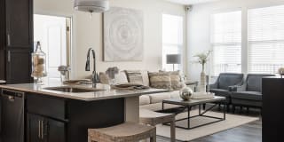 Altair At The Preserve Gallery 16