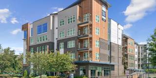 One 305 Central Gallery 30