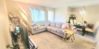 310 Knotty Pine Circle Gallery 4