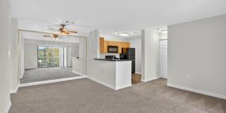 The Cloisters Gallery 27