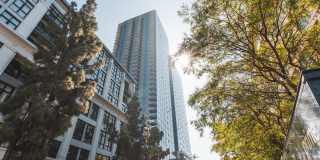 Aven Aven Gallery 42