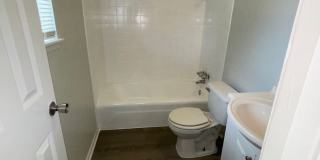 PRELEASING FOR MID AUGUST! Cozy 3/2 in the Heart of South Austin! Gallery 12