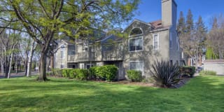 Wood Creek Gallery 3