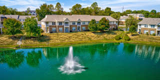 Ashley Place Gallery 1