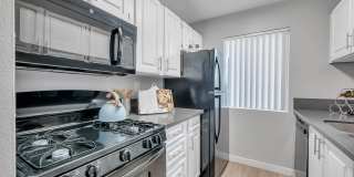 Fountains at Palmdale Gallery 28