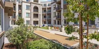 Alta Westwind Gallery 32