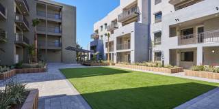 The Willows Gallery 32