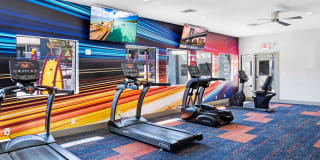 Allanza at the Lakes Gallery 7