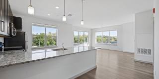 The Washingtons Gallery 3