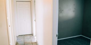 SMALL DOG FRIENDLY!!!  Meadow Street House Gallery 19