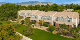 Spring Park Gallery 9