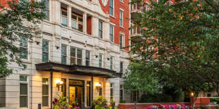 The Woodley Gallery 9