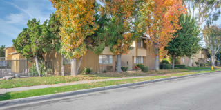 Riverstone Apartments Gallery 2