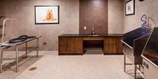 Avalon Maplewood Gallery 20