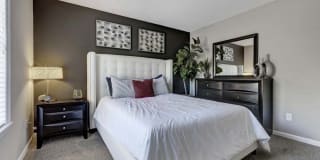 Harlowe Apartments Gallery 6