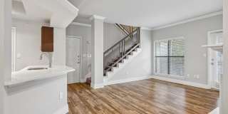 Carrara at Cole Gallery 5