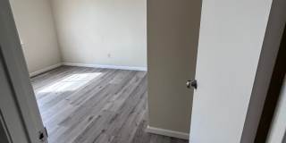 No Deposit Gallery 11