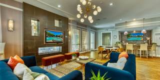 Galleria Palms Gallery 11
