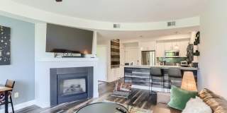 Modern 1 BDR Condo in Holiday Neighborhood Gallery 1