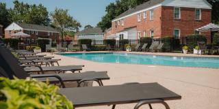 Verve 261 Gallery 24