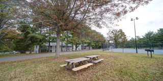 Falcon Pointe Gallery 4