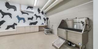 The Grove On Main Gallery 33