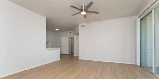 Kia Ora Park Apartments Gallery 14