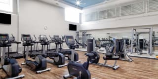 Avalon Acton Gallery 20