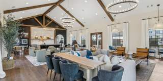 The Stafford Gallery 6