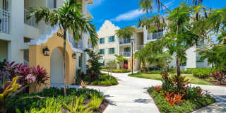 Oceanside Lantana Gallery 17