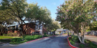 Summerwood Cove Gallery 9