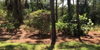 4161 Sawgrass Point Dr unit: 101 Gallery 23