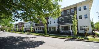 The Clayton on Scott Gallery 1