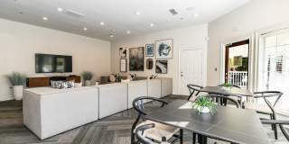 Roswell Village Gallery 17