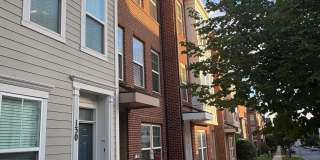 134 STRUMMER Lane Gallery 1