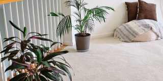 Stunning 2-Bed, 2-Bath Condo in Salisbury Gallery 46