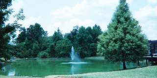 Mill Pond accross from G'ville Health and Fitness Gallery 6