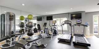 Annen Woods Annen Woods Gallery 23