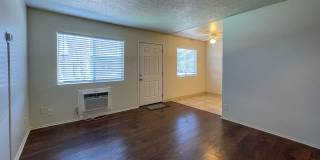 Summer Woods Gallery 28