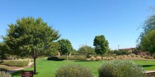 12968 W YELLOW BIRD Lane Gallery 2